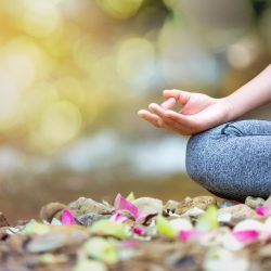 mind-healthy-lifestyle-hand-gesture mind-healthy-lifestyle-hand-gesture